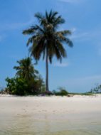 Fant oss vår egne lille palme på Laem Had Beach